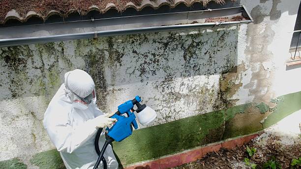 Mold Removal service in Middleville